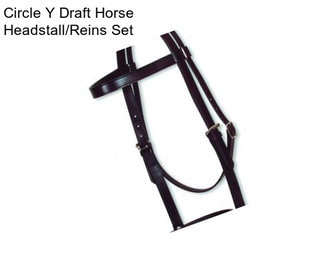 Circle Y Draft Horse Headstall/Reins Set