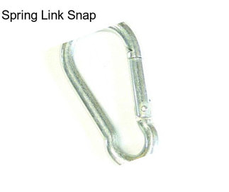 Spring Link Snap