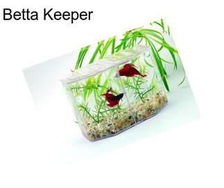 Betta Keeper