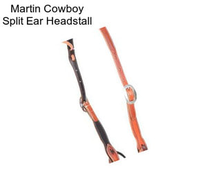 Martin Cowboy Split Ear Headstall