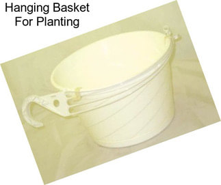 Hanging Basket For Planting