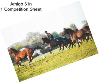 Amigo 3 in 1 Competition Sheet