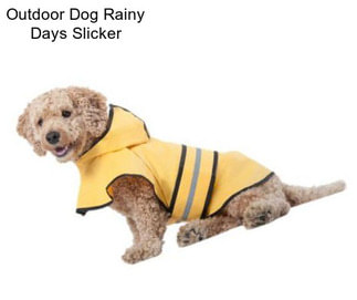 Outdoor Dog Rainy Days Slicker