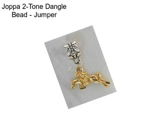 Joppa 2-Tone Dangle Bead - Jumper