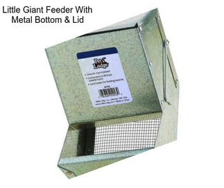 Little Giant Feeder With Metal Bottom & Lid