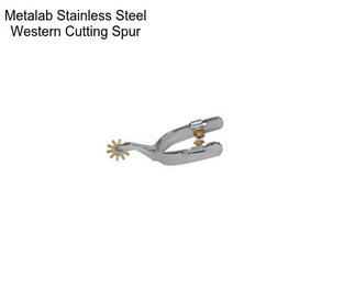 Metalab Stainless Steel Western Cutting Spur