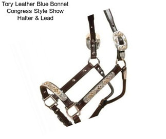 Tory Leather Blue Bonnet Congress Style Show Halter & Lead