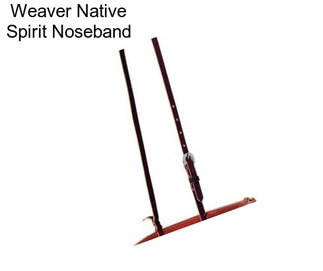 Weaver Native Spirit Noseband