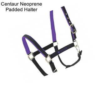 Centaur Neoprene Padded Halter