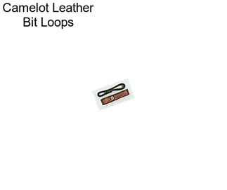 Camelot Leather Bit Loops