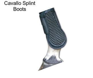 Cavallo Splint Boots