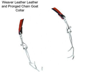 Weaver Leather Leather and Pronged Chain Goat Collar