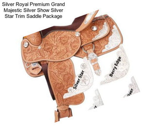 Silver Royal Premium Grand Majestic Silver Show Silver Star Trim Saddle Package