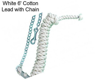 White 6\' Cotton Lead with Chain