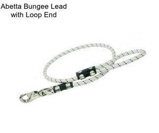 Abetta Bungee Lead with Loop End