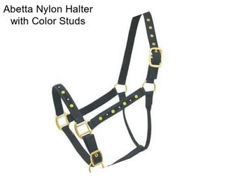 Abetta Nylon Halter with Color Studs