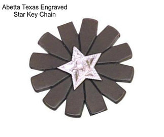 Abetta Texas Engraved Star Key Chain