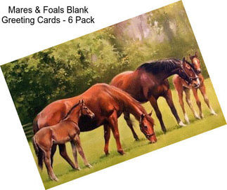 Mares & Foals Blank Greeting Cards - 6 Pack