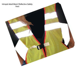 Intrepid Adult Mesh Reflective Safety Vest