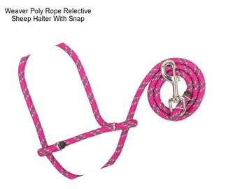 Weaver Poly Rope Relective Sheep Halter With Snap