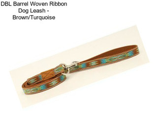 DBL Barrel Woven Ribbon Dog Leash - Brown/Turquoise