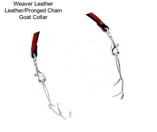 Weaver Leather Leather/Pronged Chain Goat Collar