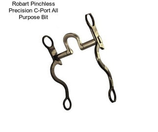 Robart Pinchless Precision C-Port All Purpose Bit