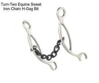 Turn-Two Equine Sweet Iron Chain H-Gag Bit