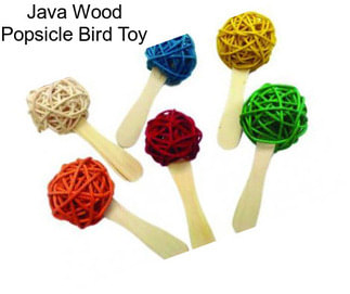 Java Wood Popsicle Bird Toy