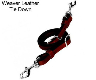 Weaver Leather Tie Down