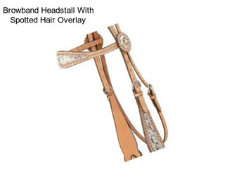 Browband Headstall With Spotted Hair Overlay