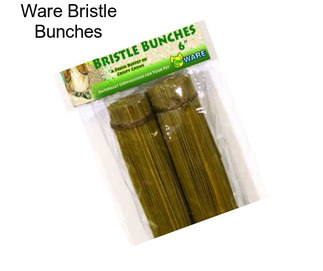 Ware Bristle Bunches