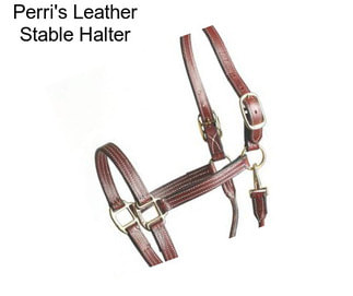 Perri\'s Leather Stable Halter