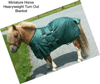 Miniature Horse Heavyweight Turn Out Blanket