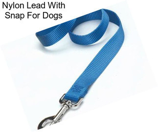 Nylon Lead With Snap For Dogs