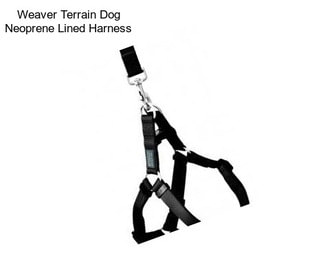 Weaver Terrain Dog Neoprene Lined Harness