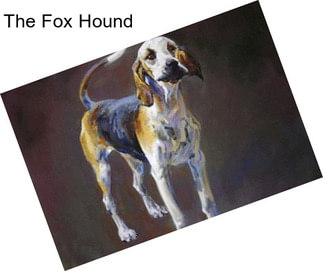 The Fox Hound