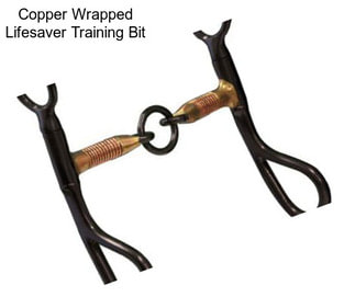 Copper Wrapped Lifesaver Training Bit