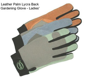 Leather Palm Lycra Back Gardening Glove - Ladies\'