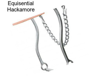 Equisential Hackamore