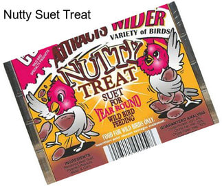 Nutty Suet Treat