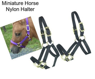 Miniature Horse Nylon Halter