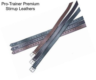 Pro-Trainer Premium Stirrup Leathers