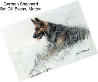 German Shepherd By: Gill Evans, Matted