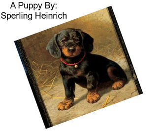 A Puppy By: Sperling Heinrich