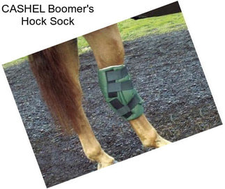 CASHEL Boomer\'s Hock Sock
