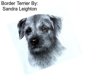Border Terrier By: Sandra Leighton