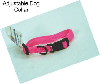 Adjustable Dog Collar