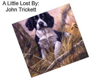 A Little Lost By: John Trickett