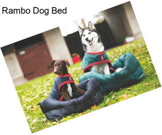 Rambo Dog Bed